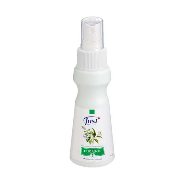 Eucalyptus Spray